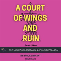 Summary__A_Court_of_Wings_and_Ruin
